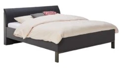 Bed Suite Met Rawsteel Poten -Beter Bed Bed Suite met rawsteel poten grafiet grafiet 2