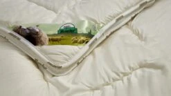 Dekbed Bovenste Beste Wol 4-seizoenen 3 Dekbed Bovenste Beste Wol 4-seizoenen -Beter Bed Dekbed Bovenste Beste wol 4 seizoenen 3