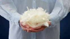 Dekbed Capella Luxe 15% Dons Winter -Beter Bed Dekbed Select 15 dons 4 seizoenen 1