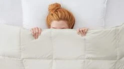 Dekbed Select Wol 4-seizoenen -Beter Bed Dekbed Select wol 4 seizoenen 2