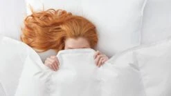 Dekbed Silvana Royale Light 100% Dons Zomer -Beter Bed Dekbed Silvana Royale Light 100 dons zomer 2