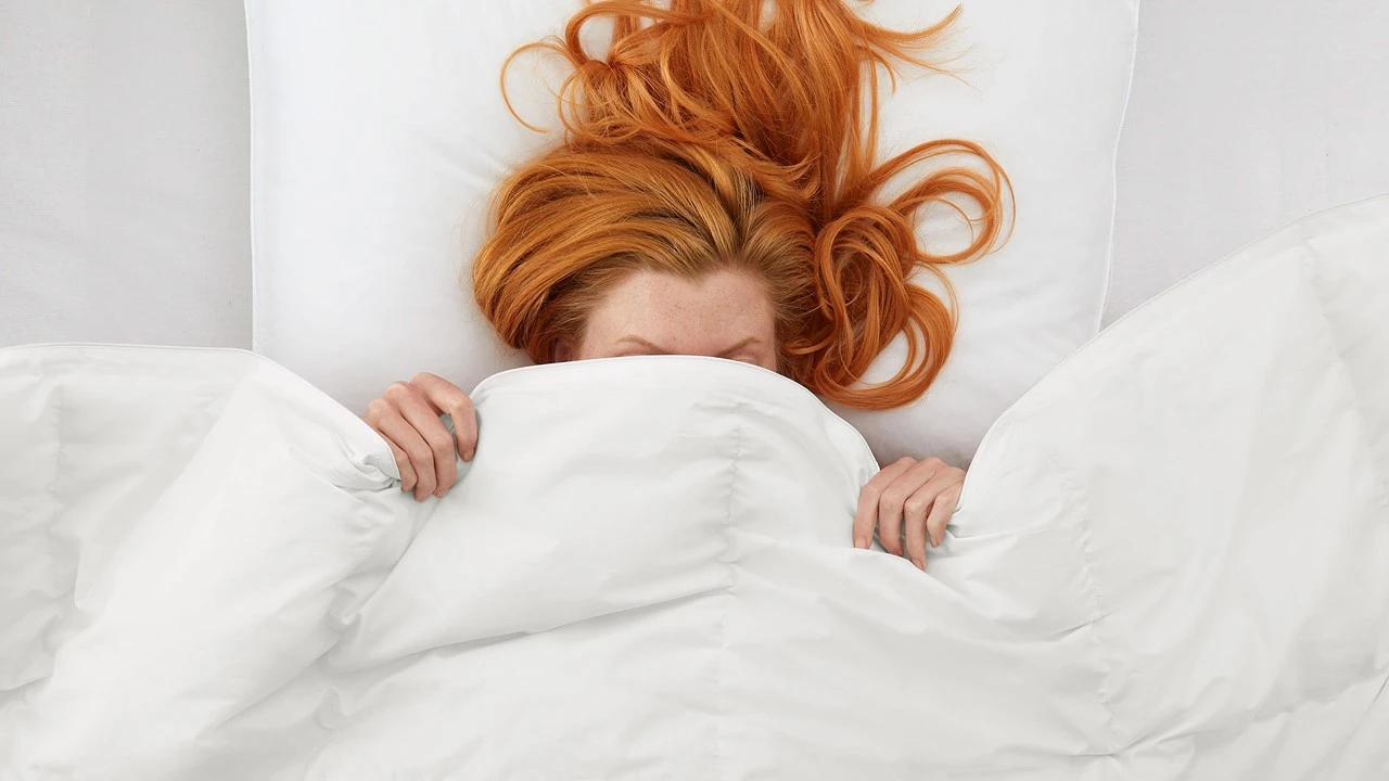 Dekbed Taurus 90% dons 4-seizoenen Dekbed Taurus 90% Dons 4-seizoenen -Beter Bed Dekbed Taurus 90 dons 4 seizoenen 2