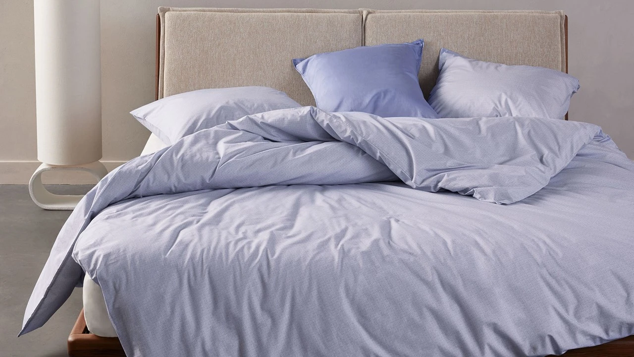 Dekbedovertrek Jule ESSENZA Dekbedovertrek Jule -Beter Bed Dekbedovertrek Jule lavender blue 1