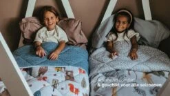 HappyBed (Kids) Bobby Bear - Dekbed Zonder Overtrek -Beter Bed Happybed Bobby Bear alle seizoenen dekbed synthetisch 1