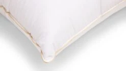 Karlsson Hoofdkussen Gold 2 Karlsson Hoofdkussen Gold -Beter Bed Hoofdkussen Gold 2