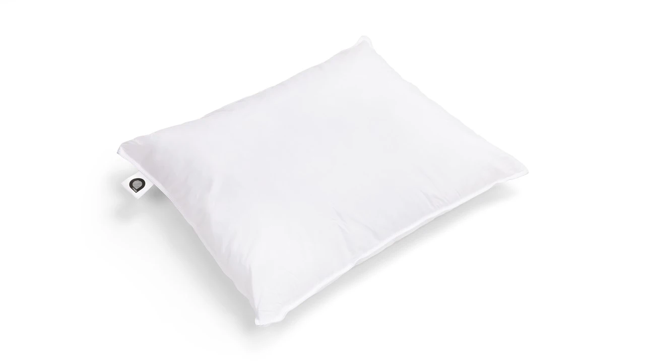 Hoofdkussen Maxi Pure Hoofdkussen Maxi Pure -Beter Bed Hoofdkussen Pure basic