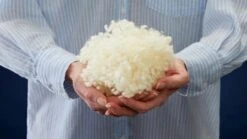 Dekbed Multikeus 400 Wol Voor/najaar -Beter Bed Hoofdkussen Soezzz Perfection 2